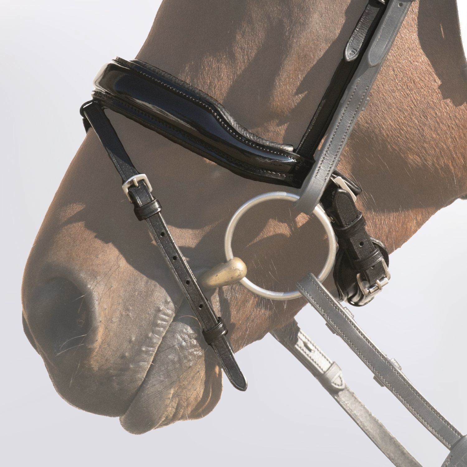 Nasenriemen Lunea Vollblut